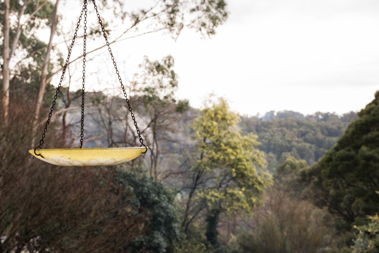 Rustic Refuge Guesthouse Kalorama ภายนอก รูปภาพ